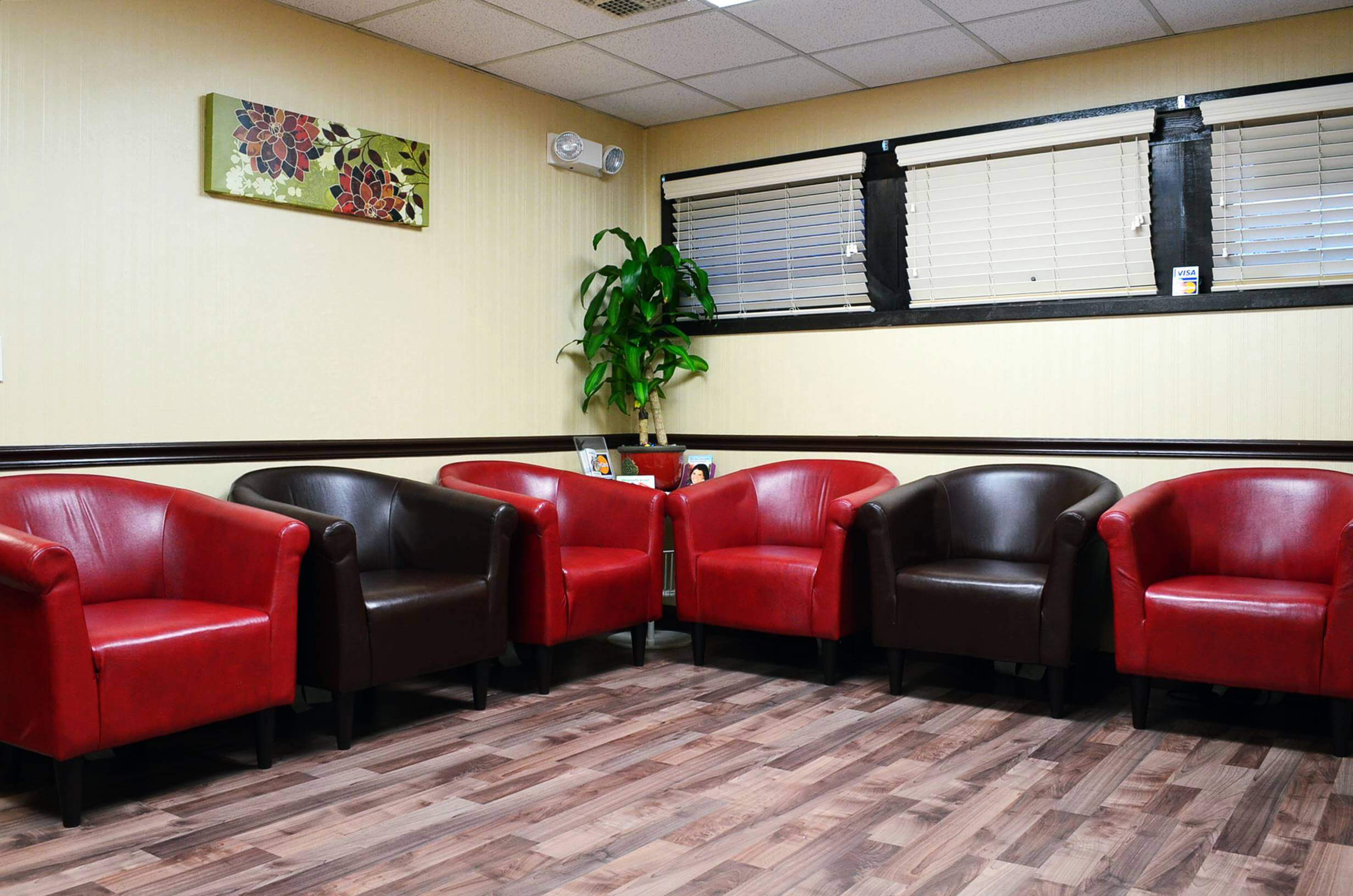 Elizabeth Cosmetic Dentist